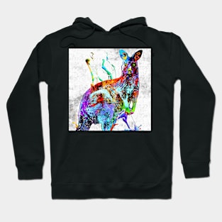 Kangaroo Grunge Hoodie